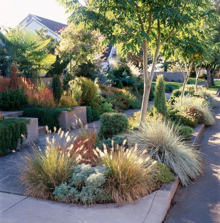 Sidewalk gardens with a variety of plants and shrubs.