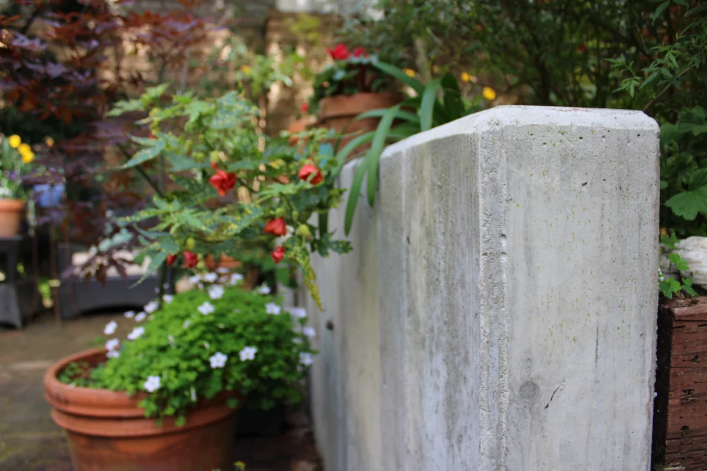 Close-up of a concrete wall next to potted plants with green leaves and red and white flowers in an outdoor garden setting.