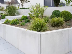A concrete garden with plants and steps.